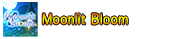 Moonlit Bloom