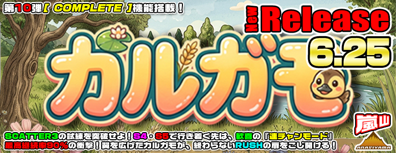 NEW RELEASE!カルガモ