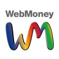 Web Money 3,000円分